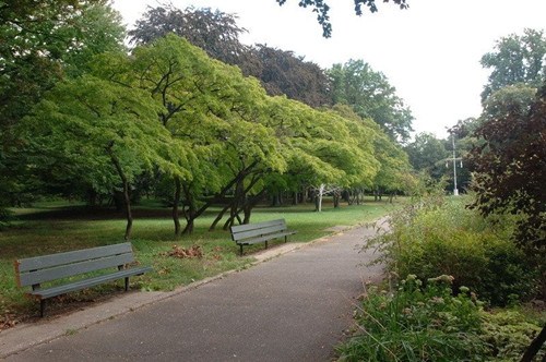 凱辛納公園。(美國中文網(wǎng)資料照片)