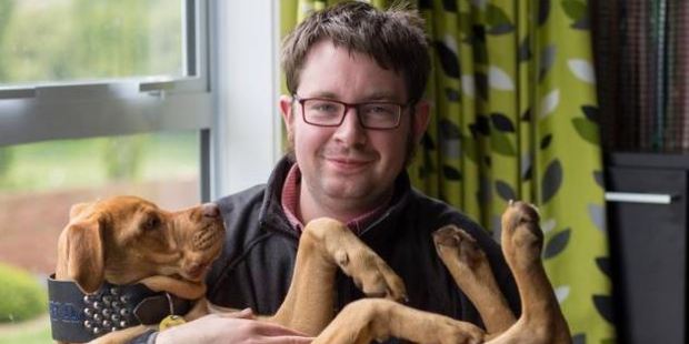 (新西蘭中華新聞網(wǎng))