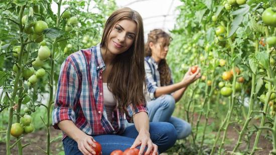 (《澳洲日報》圖片)