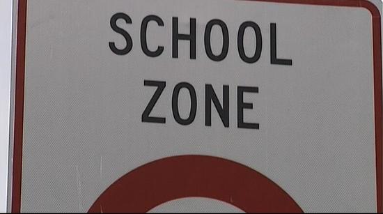 (新西蘭天維網(wǎng)援引Newshub圖片)