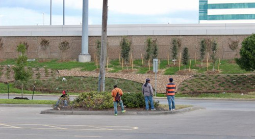 中國城百利大道附近的建材市場Home