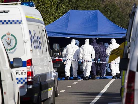 (《澳洲日報》圖片)