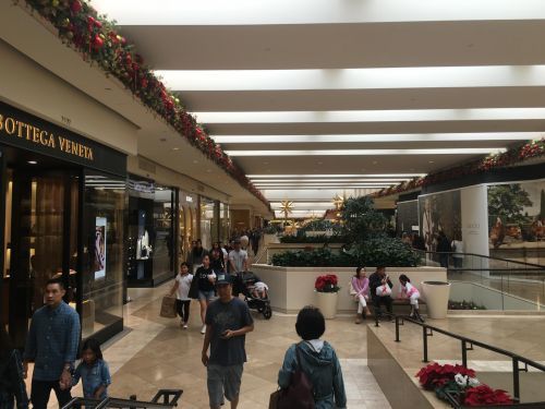 (美國(guó)中文網(wǎng)圖片)