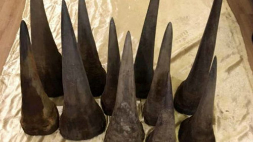 (BBC中文網(wǎng))