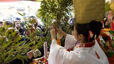 中國僑網(日本新華僑報網)