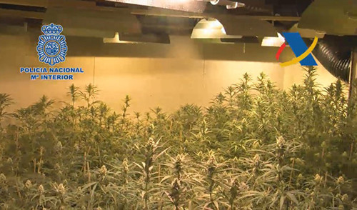 中國僑網(wǎng)(西班牙《歐華報》)