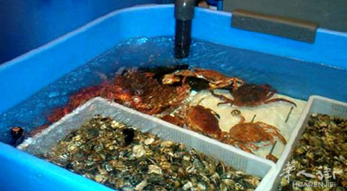 中國僑網(wǎng)(意大利《華人街》)