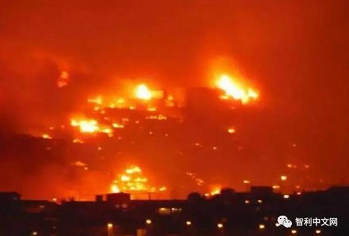 中國(guó)僑網(wǎng)