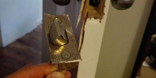 中國(guó)僑網(wǎng)(《新西蘭中文先驅(qū)報(bào)》)