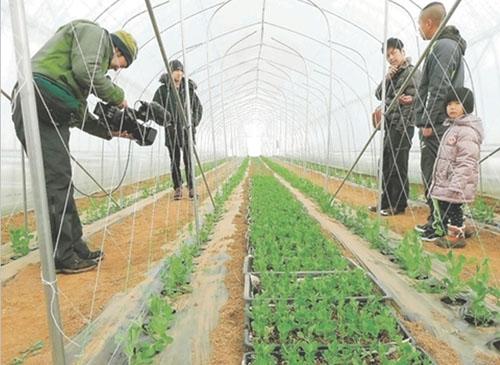 中國僑網(wǎng)(日本新華僑報網(wǎng))