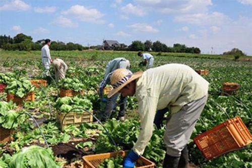 中國僑網(wǎng)(日本新華僑報(bào)網(wǎng))