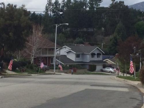 中國(guó)僑網(wǎng)總統(tǒng)日不少民眾在自家前庭豎起美國(guó)國(guó)旗,表示對(duì)國(guó)家和總統(tǒng)的支持與尊重。(美國(guó)《世界日?qǐng)?bào)》/楊青 攝)</p>