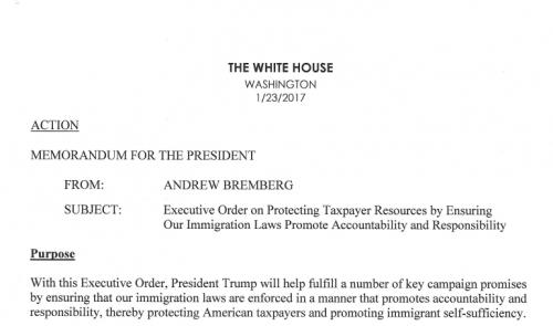 中國僑網(wǎng)草案截圖(美國《僑報》)