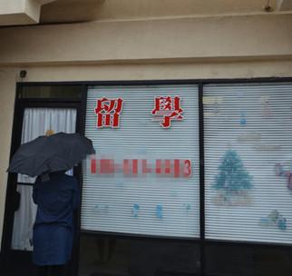 中國僑網(wǎng)(美國《世界日?qǐng)?bào)》資料圖/高梓原 攝)