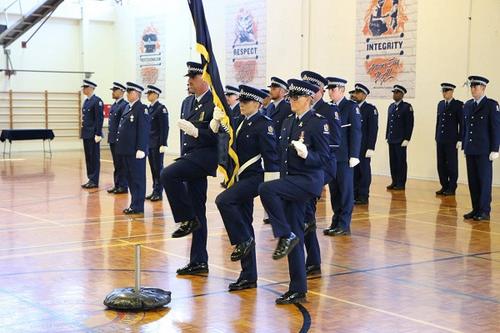 中國僑網(新西蘭天維網)