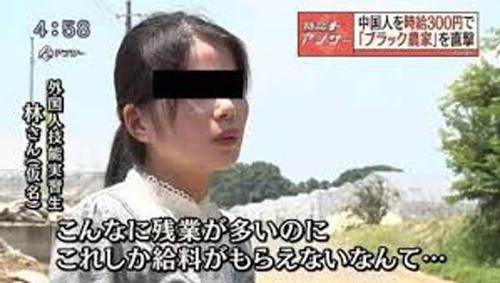 中國(guó)僑網(wǎng)資料圖。(日本新華僑報(bào)網(wǎng))