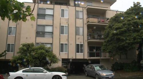 中國僑網(wǎng)加州大學(xué)伯克利分校校園(美國中文網(wǎng))