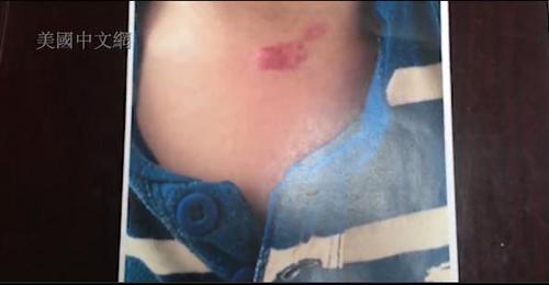 中國(guó)僑網(wǎng)(美國(guó)中文網(wǎng))