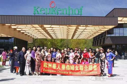 中國僑網(wǎng)(一網(wǎng)荷蘭微信公眾號圖片)