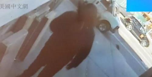 中國僑網(wǎng)視頻截圖(美國中文網(wǎng))