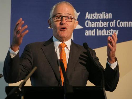 中國(guó)僑網(wǎng)特恩布爾政府廢除457簽證。(澳洲網(wǎng)援引澳新網(wǎng)圖片)