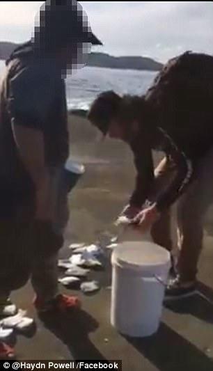 中國僑網(wǎng)澳大利亞華裔夫婦捕魚被男子攔下對峙(澳洲《新快報》援引《每日郵報》圖片)