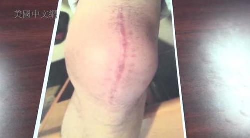 中國(guó)僑網(wǎng)(美國(guó))