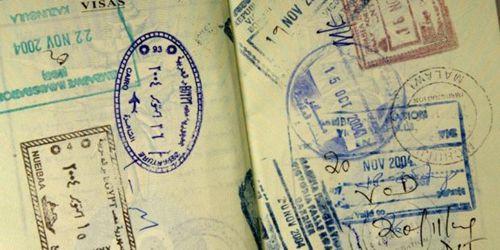 中國僑網(新西蘭先驅報中文網援引 NZ Herald)