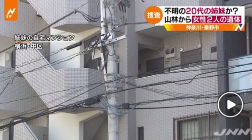 中國(guó)僑網(wǎng)