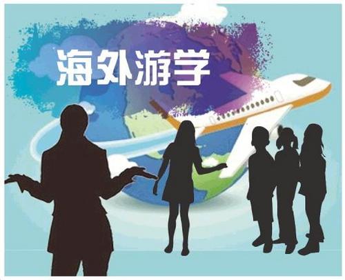 中國僑網(wǎng)調(diào)查動機