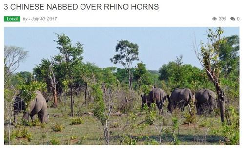 中國(guó)僑網(wǎng)