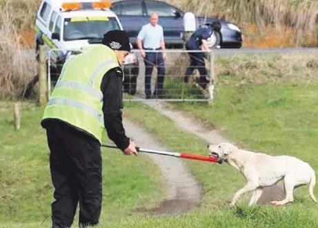 中國(guó)僑網(wǎng)