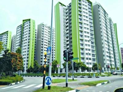 中國僑網(wǎng)淡賓尼士區(qū)