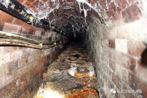 中國僑網(wǎng)(星島日報(bào)歐洲版微信公眾號(hào))