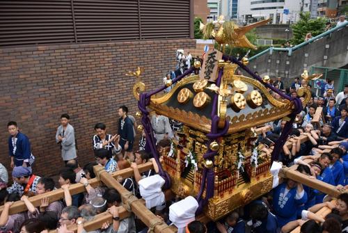 中國僑網(日本新華僑報網)