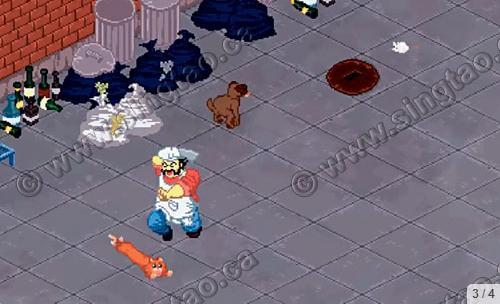 中國僑網(wǎng)追殺貓狗(加拿大《星島日報》)