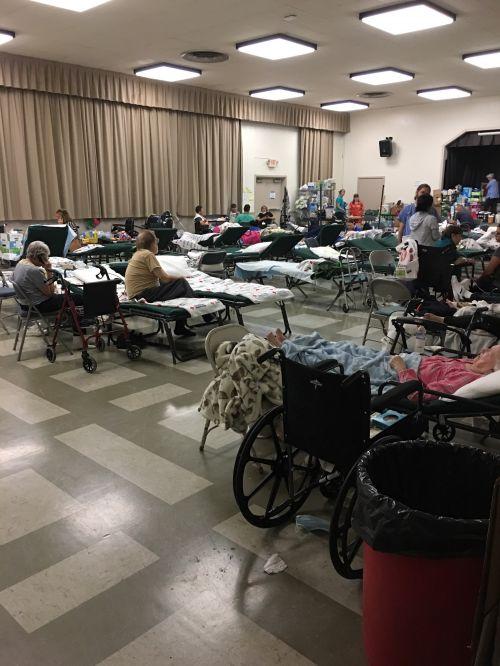 中國僑網(wǎng)圣塔洛薩收容所(Santa Rosa Vertern ‘s Building)。(美國《僑報》)