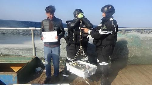 中國僑網(wǎng)中國漁船非法捕撈管制現(xiàn)場(韓聯(lián)社/木浦海警提供)