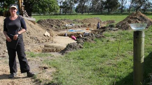 中國(guó)僑網(wǎng)(新西蘭天維網(wǎng))