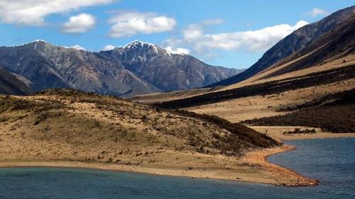 中國(guó)僑網(wǎng)(新西蘭天維網(wǎng))