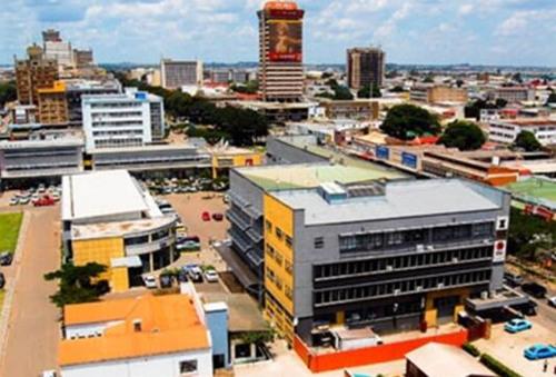 中國僑網(wǎng)(資料圖:非洲《華僑周報(bào)》)