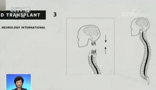 中國(guó)僑網(wǎng)