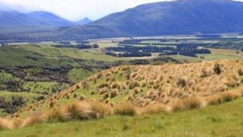 中國僑網(wǎng)中國買家計劃購買的Jericho Station牧場,正在等待審批(新西蘭天維網(wǎng))