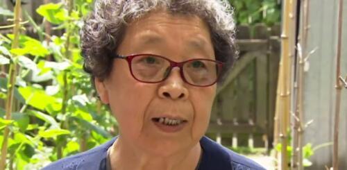 中國僑網(wǎng)韓阿婆(新西蘭天維網(wǎng))