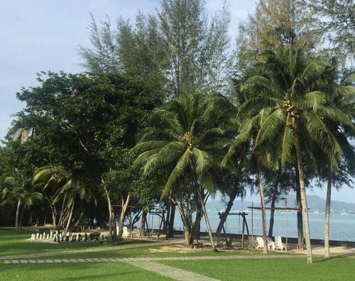 中國(guó)僑網(wǎng)普吉島某海濱度假酒店 中新經(jīng)緯李曉萱 攝