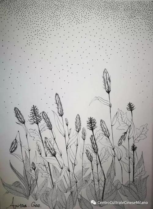 中國僑網(wǎng)中國留學生作品