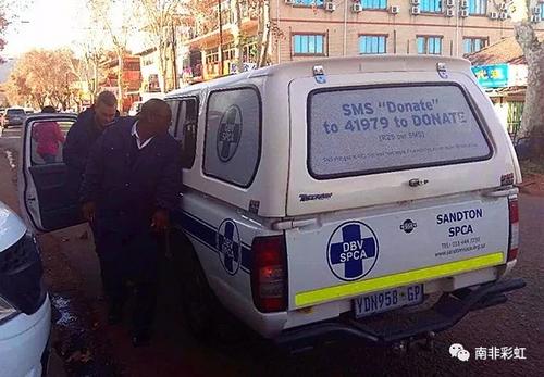 中國僑網(wǎng)(圖片來源:南非華人網(wǎng))