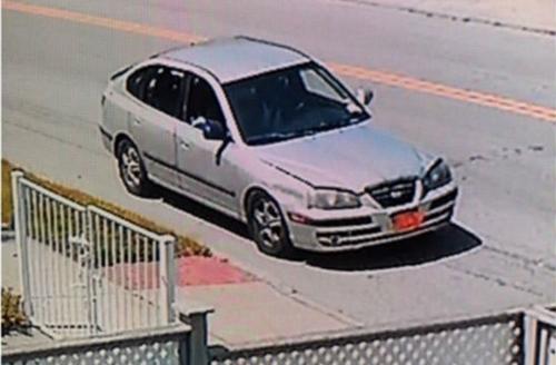 中國僑網(圖片來源:美國《僑報》)