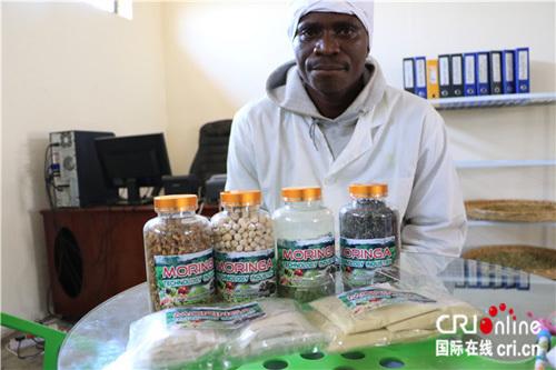 中國僑網(wǎng)本尼與辣木科技生產(chǎn)的辣木深加工產(chǎn)品