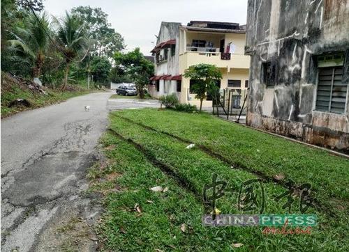 中國僑網圖片來源:馬來西亞《中國報》